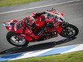 Nicolo Bulega holt Superbike-Triple auf Phillip Island, Debakel für Toprak Razgatlioglu!