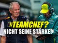 Adrian Neweys neue Formel-1-Rolle sorgt für Stirnrunzeln bei Dr. Helmut Marko