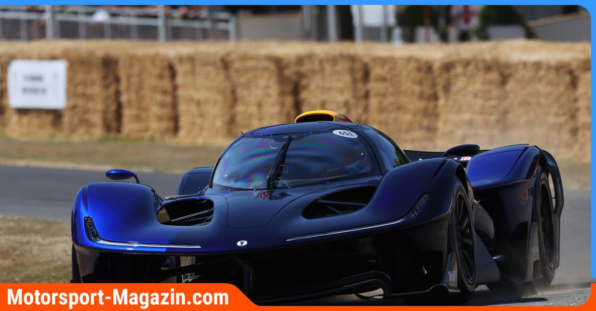 Formel-1-Bilderserie-Red-Bull-f-hrt-erstmals-mit-dem-RB17-in-Goodwood