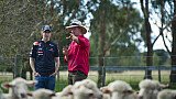 Foto: Red Bull