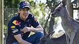 Foto: Red Bull