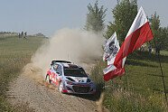 Shakedown & Tag 1 - WRC 2015, Rallye Polen, Mikolajki, Bild: Hyundai