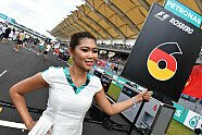 Sonntag - Formel 1 2016, Malaysia GP, Sepang, Bild: Sutton