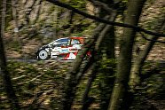 Alle Fotos vom 3. WM-Rennen - WRC 2021, Rallye Kroatien, Kroatien, Bild: LAT Images