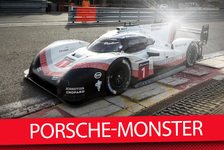 Rekord-Porsche 919 EVO - Andre Lotterer: Da braucht man Eier