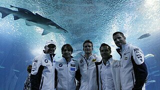 Martin Tomczyk im Haifischbecken Martin Tomczyk im Haifischbecken