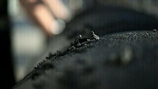 Die Reifen in Australien