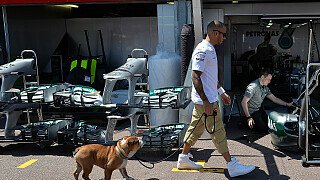 Hamilton: F1-Fahrer oder Hip-Hop-Star?