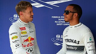 Marko: Mercedes setzt alles auf Hamilton Marko: Mercedes setzt alles auf Hamilton