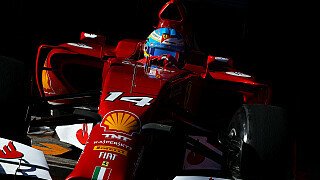 Alonso: Jede Runde willkommen