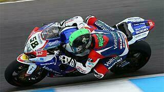 Laverty plant Podestkampf Laverty plant Podestkampf