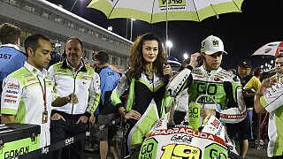 Bautista muss am Samstag zittern Bautista muss am Samstag zittern