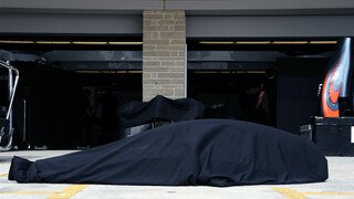Bei McLaren ist ein Wal gestrandet. Greenpeace wurde sofort informiert.