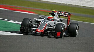 Haas in Ungarn: Aus dem Untergang gelernt