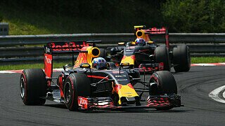 Red Bull in Deutschland: Endlich zweite Geige Red Bull in Deutschland: Endlich zweite Geige