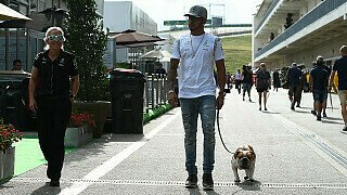 American Lewis: Hamilton von US-Fans adoptiert