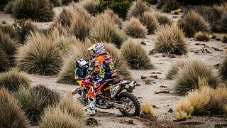 Walkner jubelt: Österreicher holt Platz 2 bei der Dakar