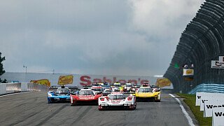 IMSA-Sieg verloren: Porsche äußert sich nach Disqualifikation