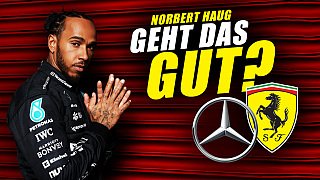 Haug erinnert sich: Hamilton & Alonso - Das war die Hölle! Haug erinnert sich: Hamilton & Alonso - Das war die Hölle!