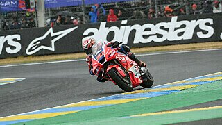 Taktik-Füchse in Le Mans