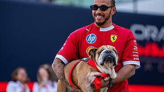 Lewis Hamilton musste am Sonntagabend von seinem besten Freund Roscoe Abschied nehmen., Foto: IMAGO/ABACAPRESS