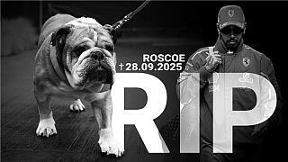 Formel-1-Rekorchampion Lewis Hamilton trauert um Roscoe Formel-1-Rekorchampion Lewis Hamilton trauert um Roscoe