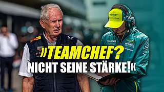 Newey als Teamchef? Marko zweifelt