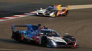 BMW enthüllt Lineup für WEC & IMSA
