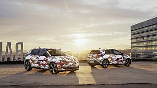 Elektro-Polo für 25.000 Euro