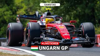 LIVE: HAM & ANT drohen Strafen
