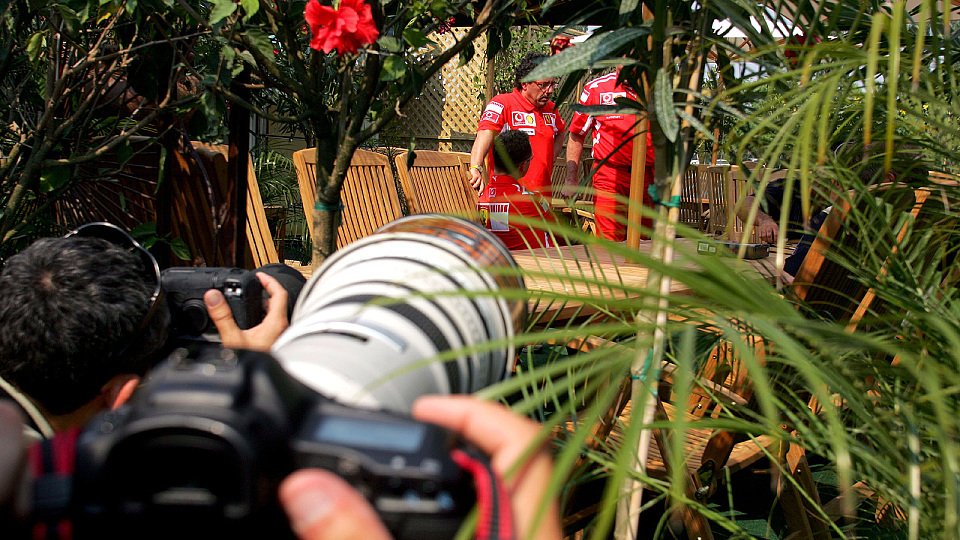 Immer auf der Lauer..., Foto: Sutton