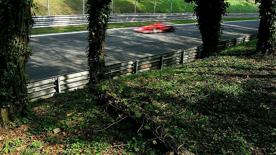 Ferrari fuhr im Wald..., Foto: Sutton