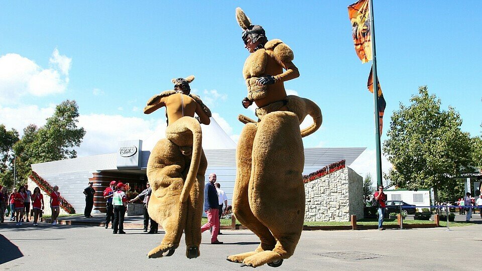 Am Thema exotische Tiere führt in Australien einfach kein Weg vorbei, Foto: Sutton