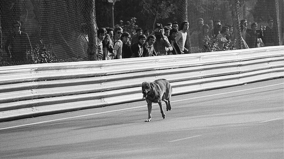 Schon 1975 streunte ein Hund über die Strecke von Montjuich Park., Foto: Phipps/Sutton