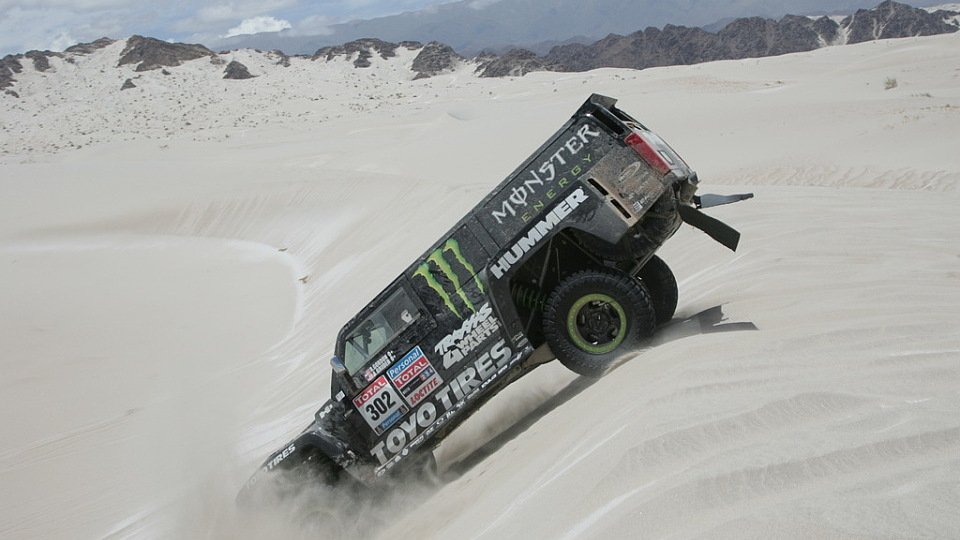 Ein Hummer krabbelt durch die Dünen, Foto: ASO