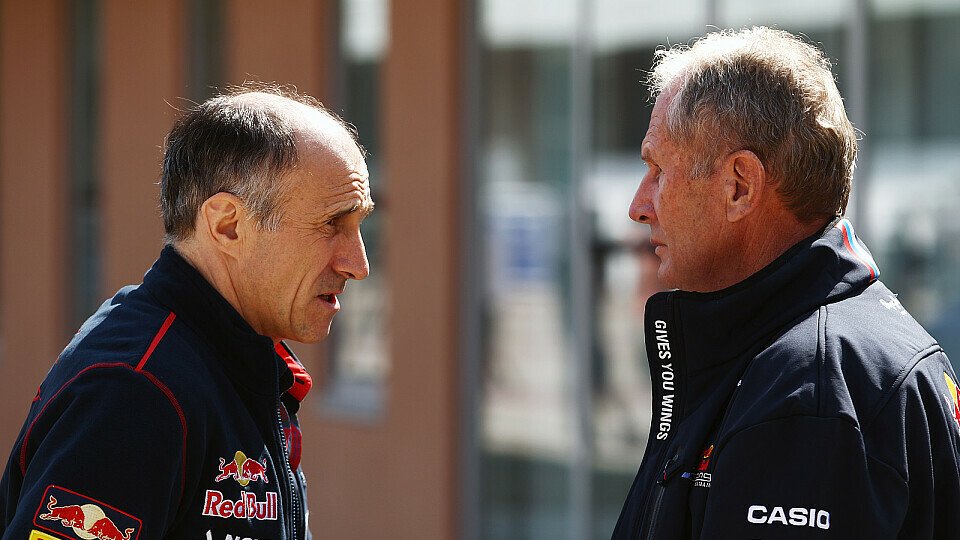 Beratung bei Toro Rosso: da Costa, Sainz Jr., Kvyat, oder jemand anderes?, Foto: Sutton