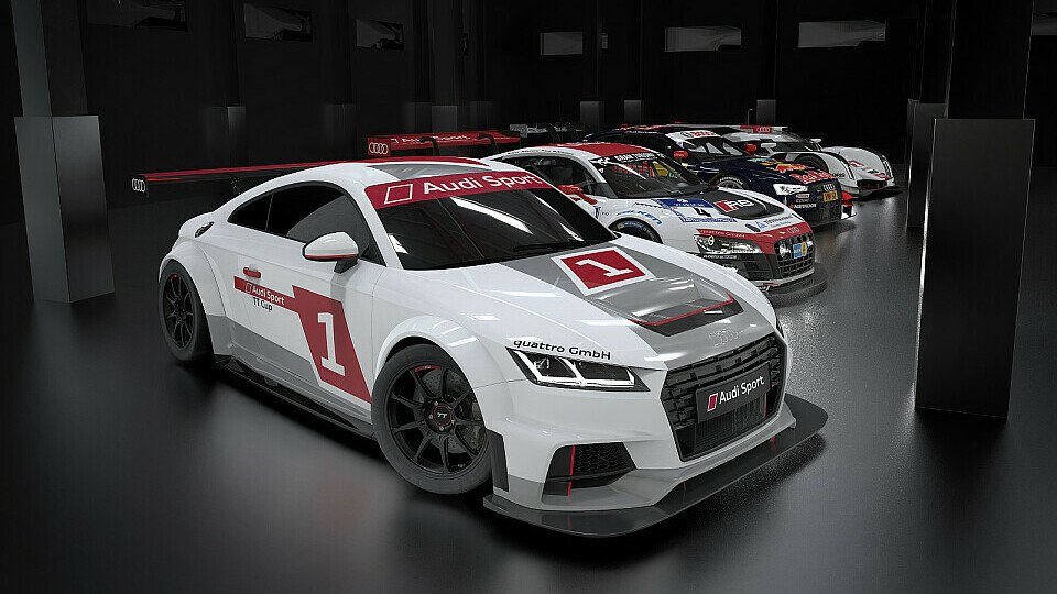 Mehr als 150 Fahrer haben sich für den Audi Sport TT Cup beworben, Foto: Audi