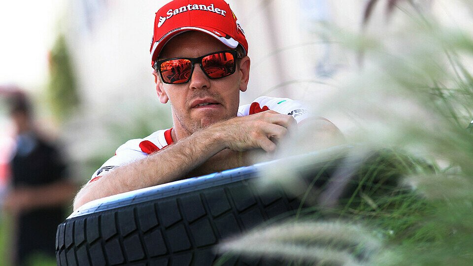 Hat Sebastian Vettel das Zeug zum Dschungelkönig?, Foto: Sutton