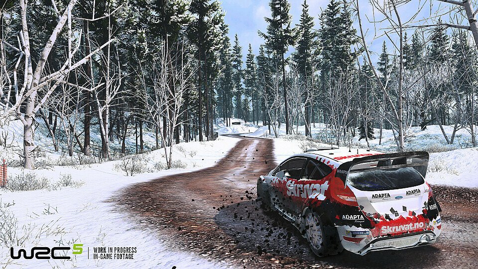 WRC 5: Rallye-Spaß mit viel Realismus, Foto: Bigben Interactive