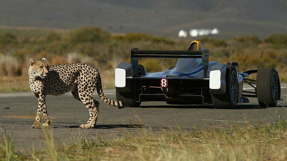 Das Duell Formel E gegen Gepard war großes Spektakel samt Botschaft, Foto: Formula E