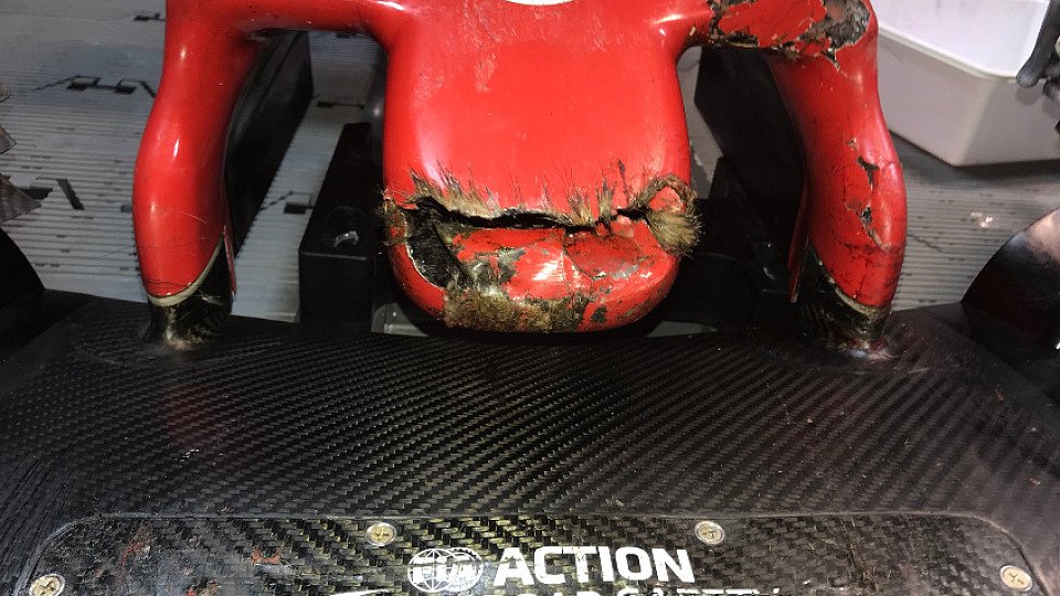 Die Haas-Nase gezeichnet vom Kampf mit einem Murmeltier, Foto: Haas F1 Team / Twitter