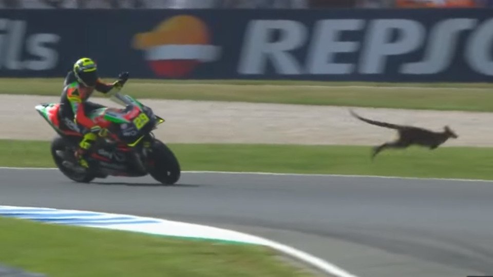 Andrea Iannone und seine Begegnung mit dem Känguru, Foto: MotoGP/Screenshot