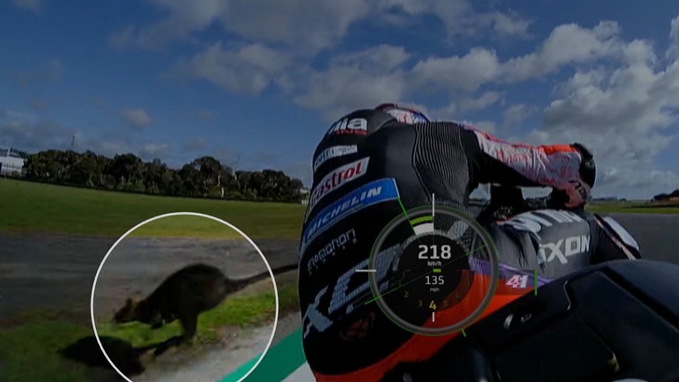 Das Känguru entwischte nur knapp Espargaros Aprilia, Foto: Screenshot/MotoGP