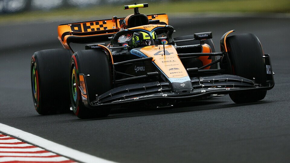 Der McLaren hat in Ungarn kein neues Update erhalten, Foto: LAT Images