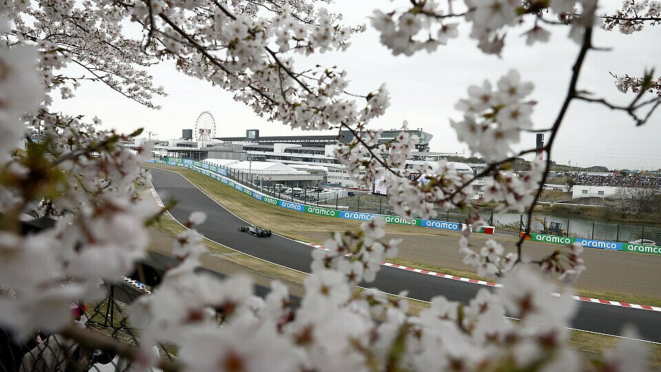 Mercedes-Fahrer Lewis Hamilton zwischen den Kirschblüten