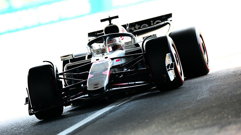 Red Bull-Fahrer Max Verstappen