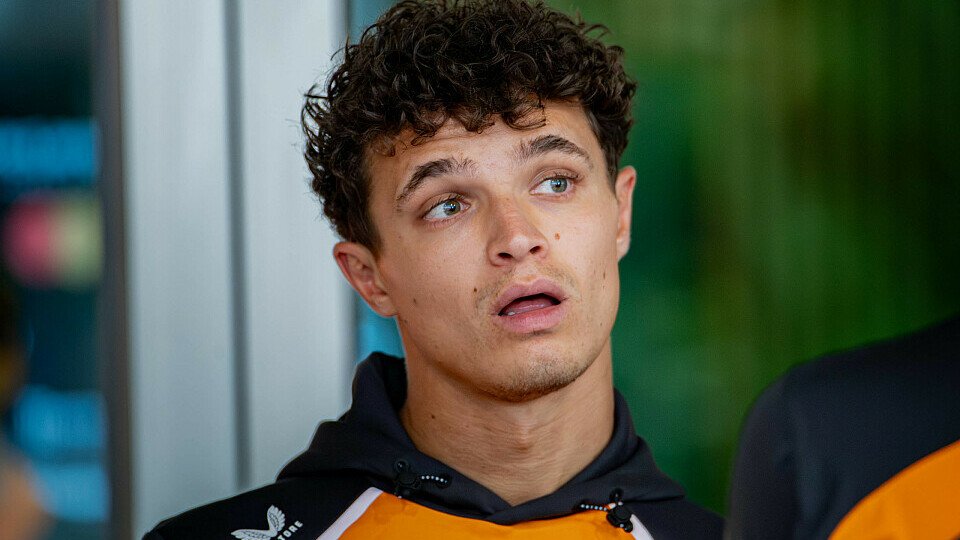 Portrait von Lando Norris 