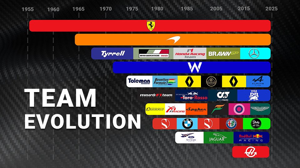 Bildmontage Team Evolution Bildmontage Team Evolution